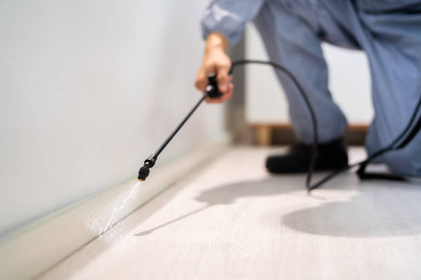 Bed Bug Pre-Treatment Preparation Assessment in Marion