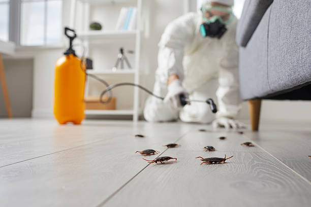 Post-Treatment Bed Bug Interceptor Monitoring in Marion