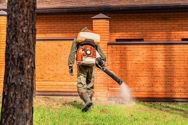 Bed Bug Clearance Verification and Documentation in Marion